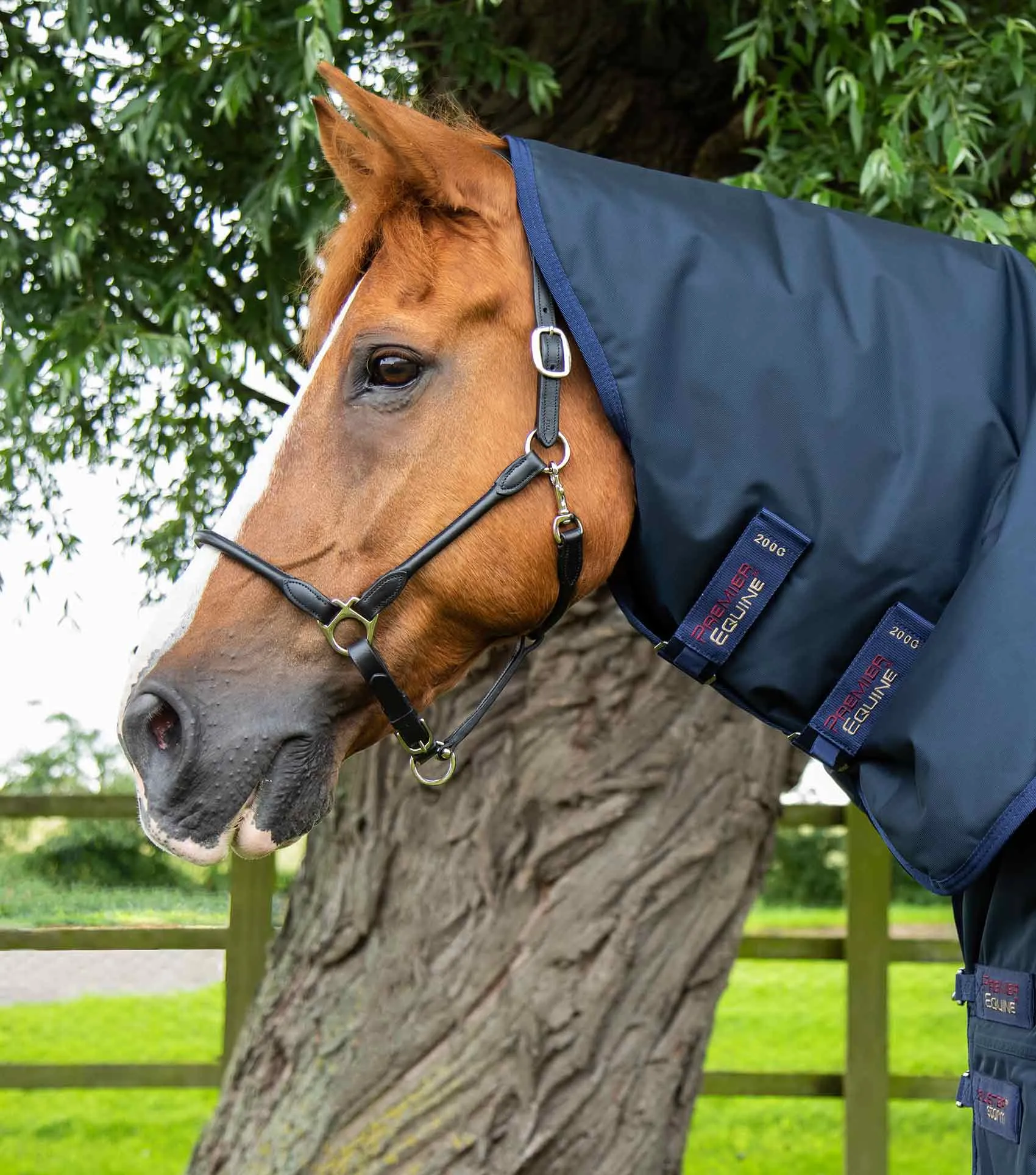 Buster Storm 220g Combo Turnout Rug with Classic Neck Navy