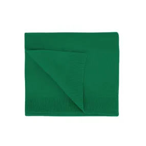 Colorful Standard Merino Wool Scarf (kelly green)