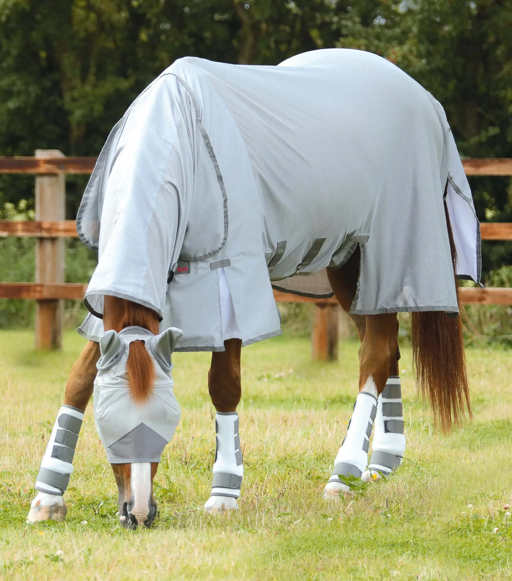 Combo Bug Buster Fly Rug with Belly Flap Silver