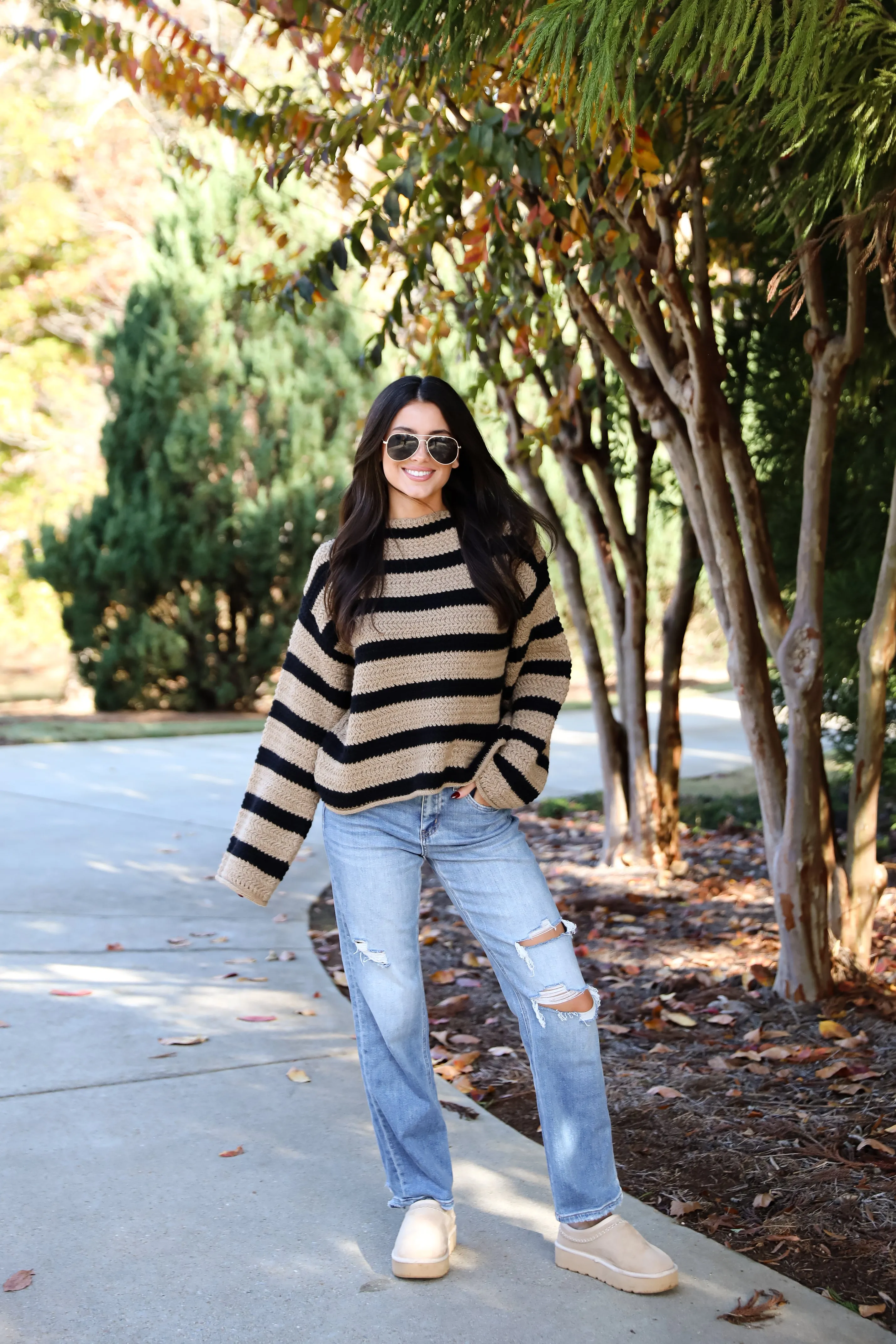 Cozy Warmth Taupe Striped Sweater