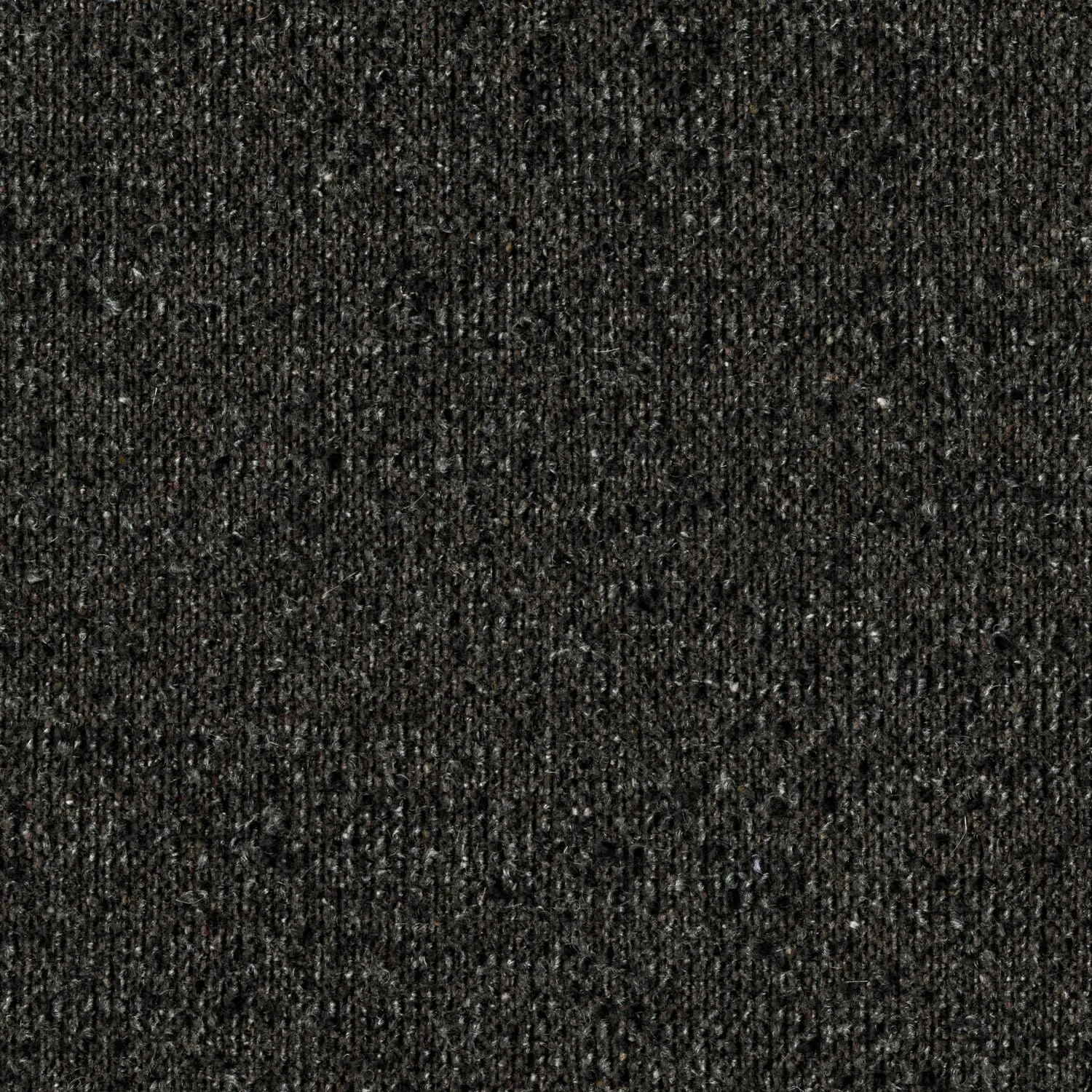 Everyday Boucle - Black Lily - 4111 - 01