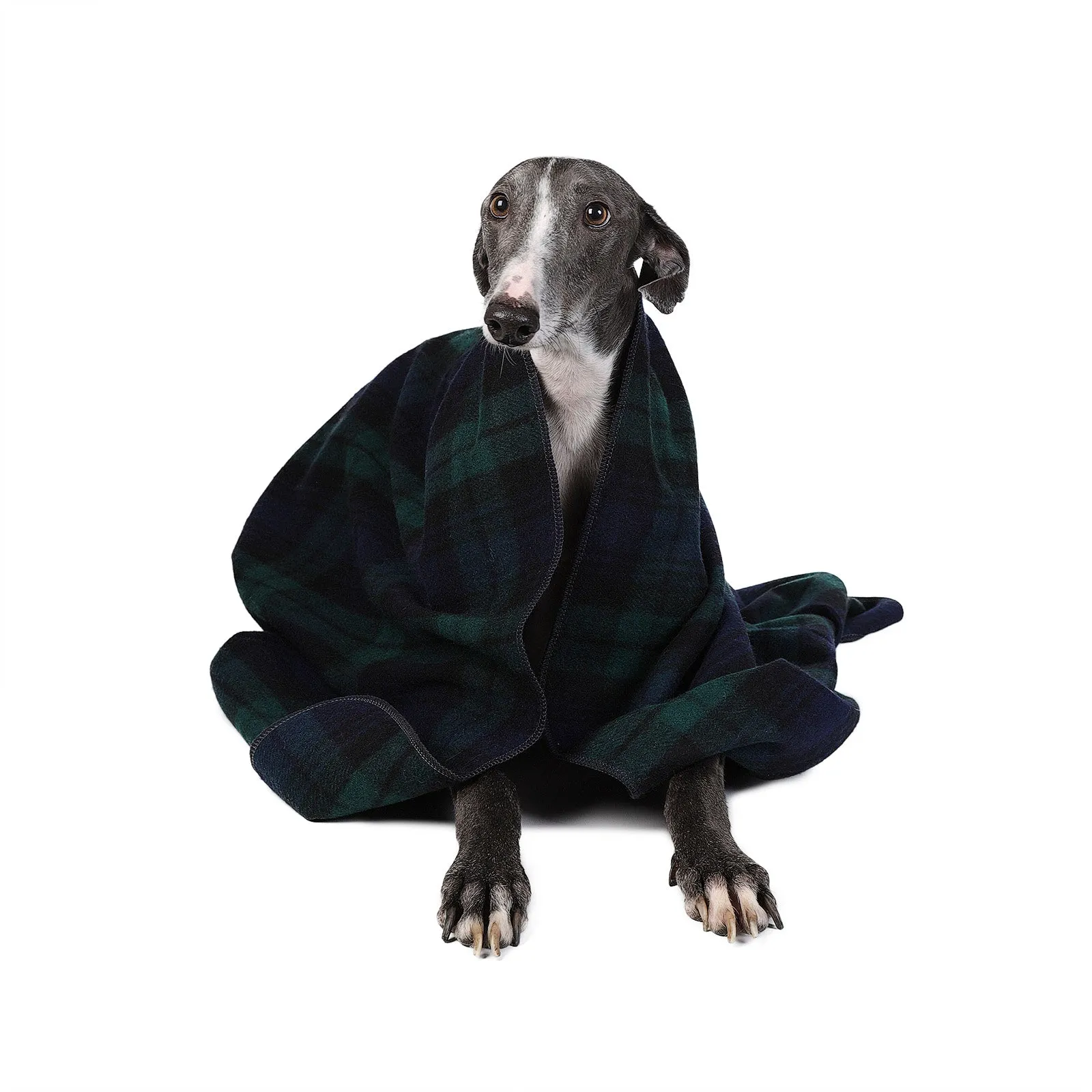 Tartan Pet Blanket Black Watch