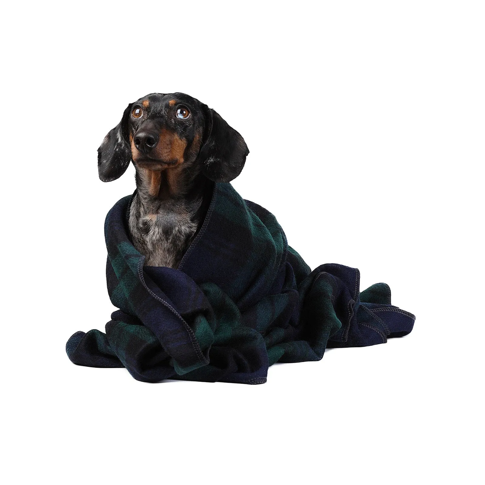 Tartan Pet Blanket Black Watch