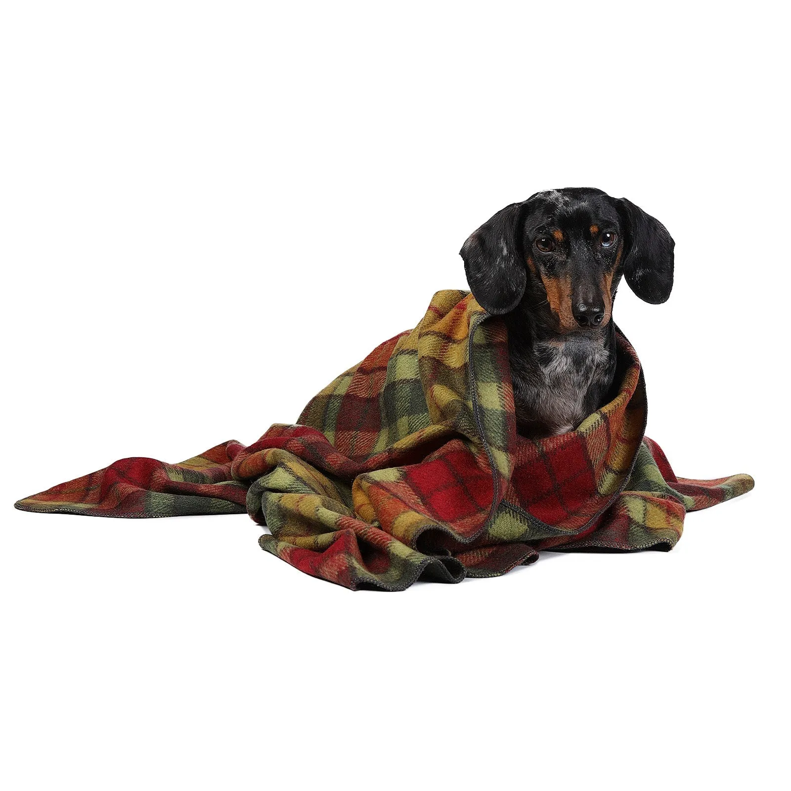 Tartan Pet Blanket Buchanan Autumn